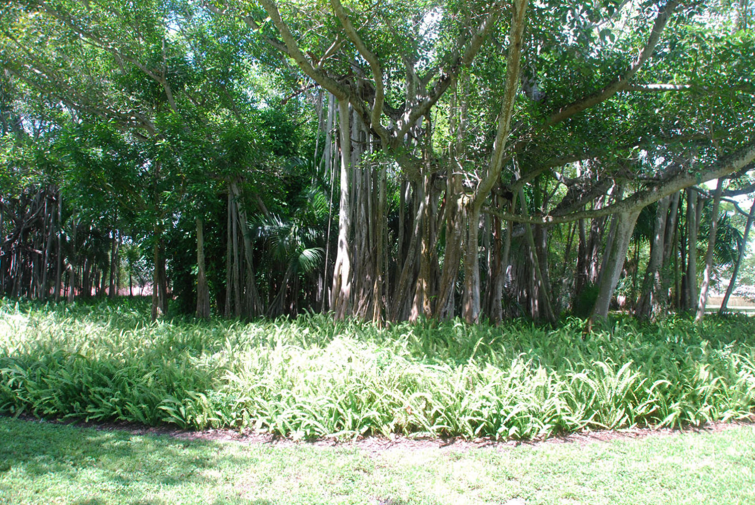 Wyjazdy językowe USA, obozy językowe USA, nauka języka angielskiego Floryda