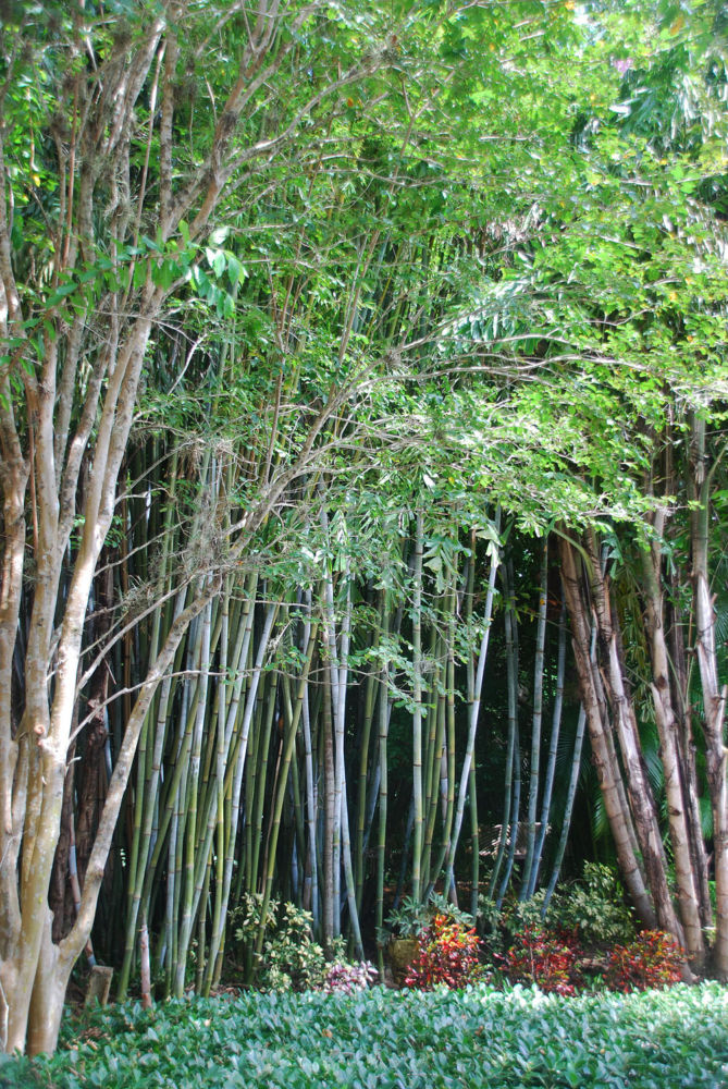 Wyjazdy językowe USA, obozy językowe USA, nauka języka angielskiego Floryda