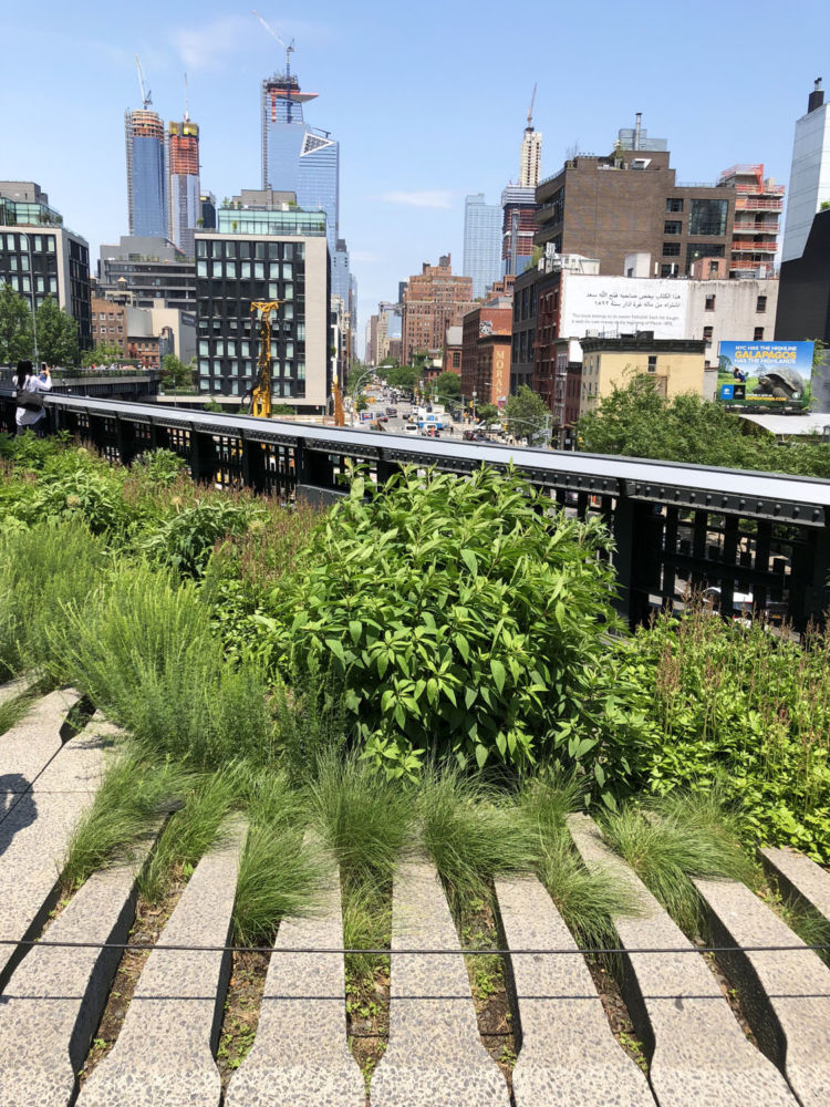 Wyjazdy językowe USA, obozy językowe USA, nauka języka angielskiego Nowy Jork