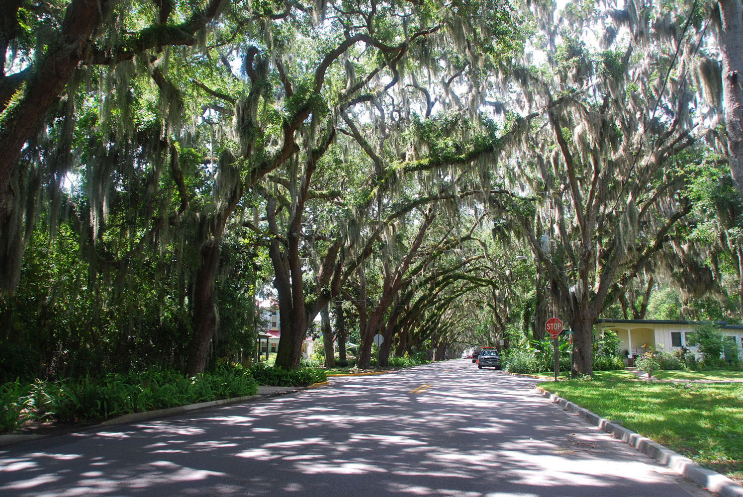 Wyjazdy językowe USA, obozy językowe USA, nauka języka angielskiego Floryda