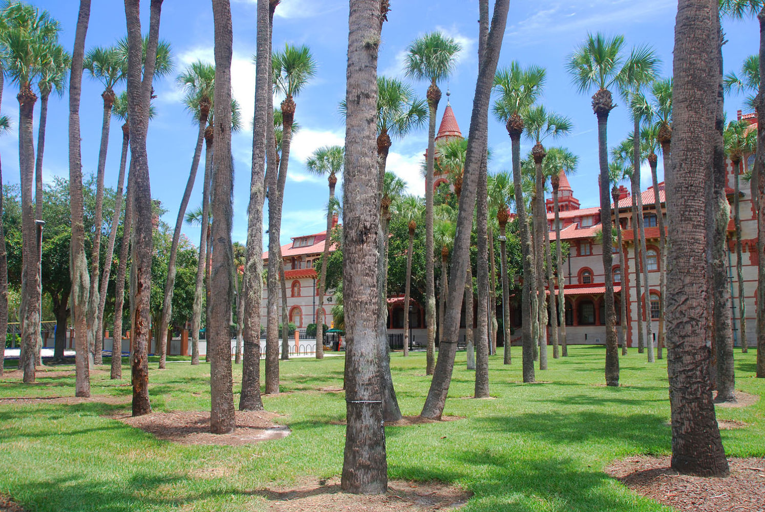 Wyjazdy językowe USA, obozy językowe USA, nauka języka angielskiego Floryda